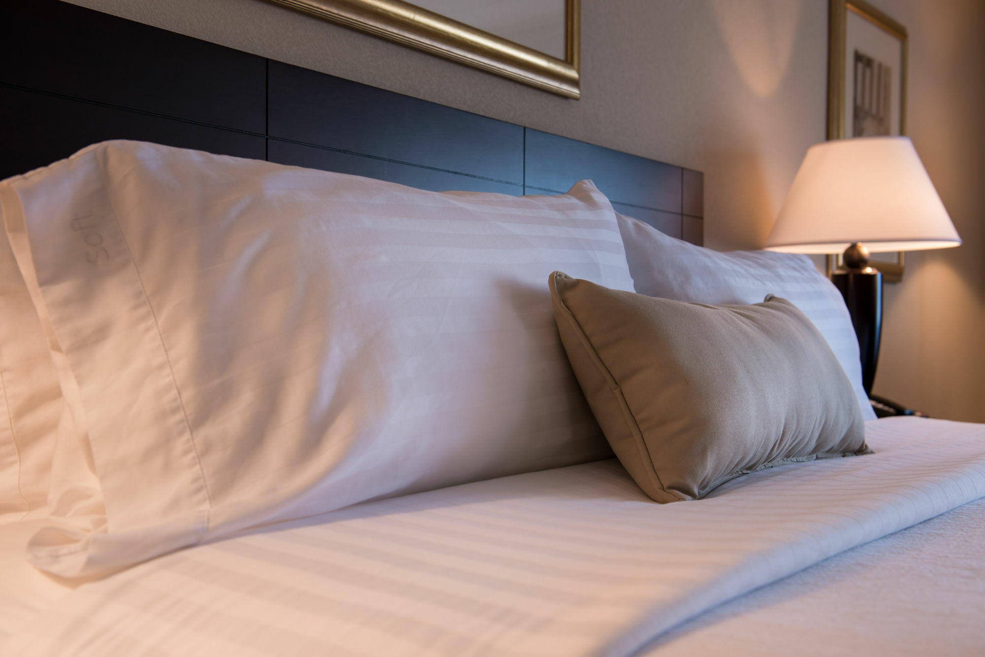 Ramada By Wyndham Midtown Grand Island Hotel Eksteriør billede
